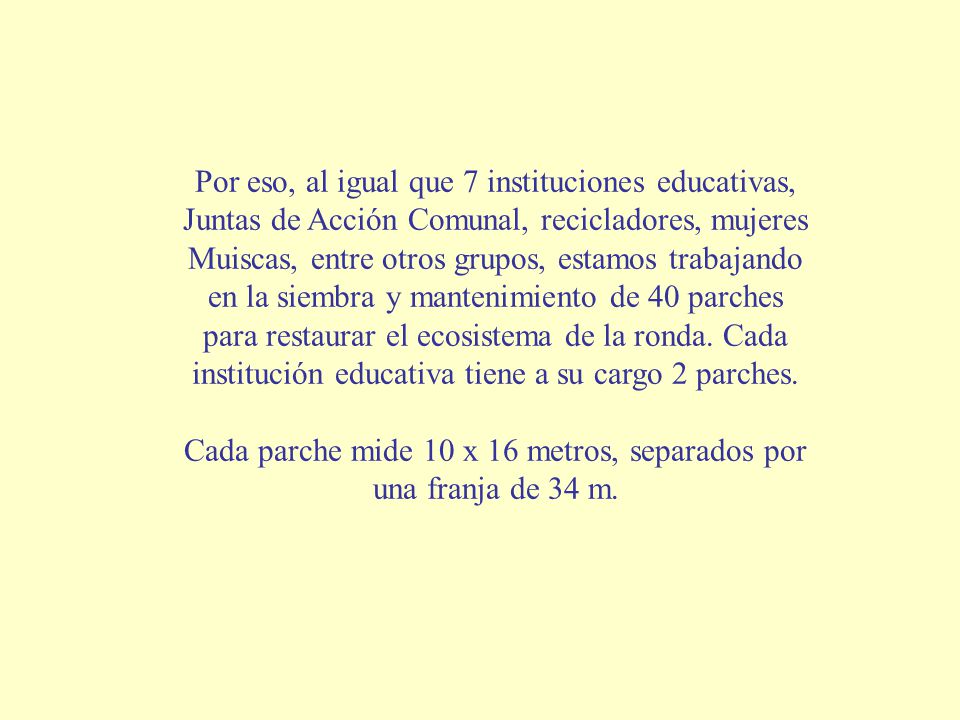Cada parche mide 10 x 16 metros, separados por una franja de 34 m.