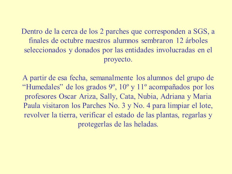 Dentro de la cerca de los 2 parches que corresponden a SGS, a finales de octubre nuestros alumnos sembraron 12 árboles seleccionados y donados por las entidades involucradas en el proyecto.