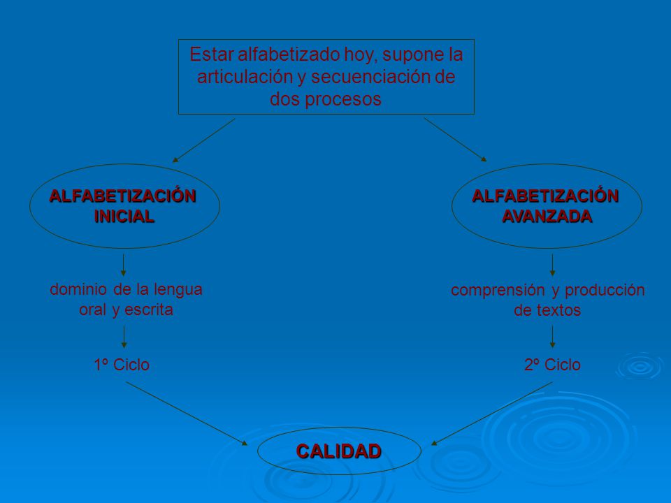 Estar alfabetizado hoy, supone la articulación y secuenciación de dos procesos