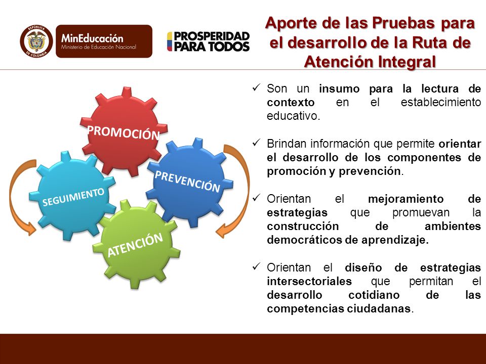 Aporte de las Pruebas para el desarrollo de la Ruta de Atención Integral