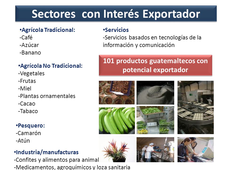 Sectores con Interés Exportador