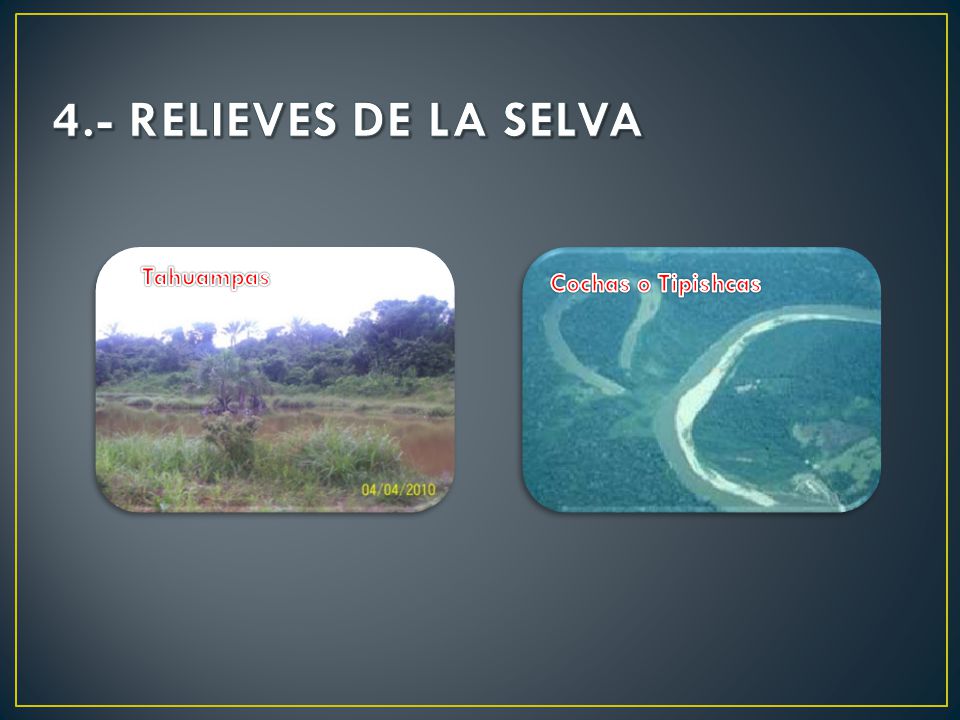 4.- RELIEVES DE LA SELVA Tahuampas Cochas o Tipishcas