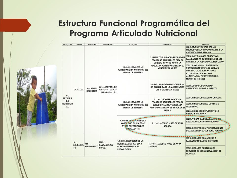 Estructura Funcional Programática del Programa Articulado Nutricional