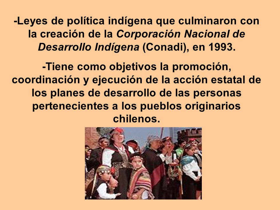 -Leyes de política indígena que culminaron con la creación de la Corporación Nacional de Desarrollo Indígena (Conadi), en 1993.
