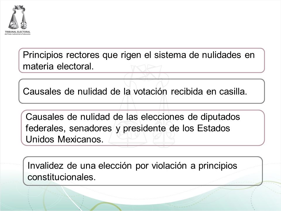 Principios rectores que rigen el sistema de nulidades en materia electoral.