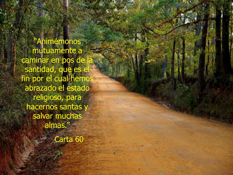 Animémonos mutuamente a caminar en pos de la santidad, que es el fin por el cual hemos abrazado el estado religioso, para hacernos santas y salvar muchas almas.