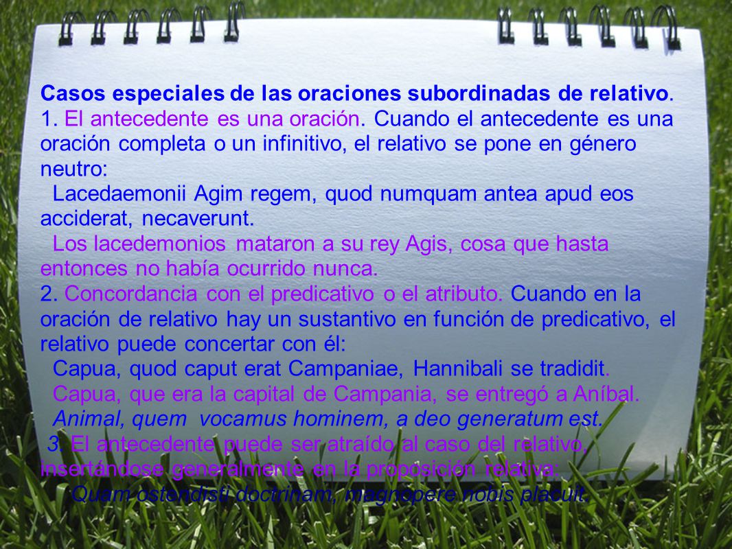 Casos especiales de las oraciones subordinadas de relativo.