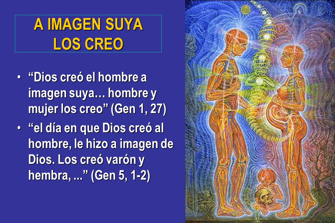 A IMAGEN SUYA LOS CREO Dios creó el hombre a imagen suya… hombre y mujer los creo (Gen 1, 27)