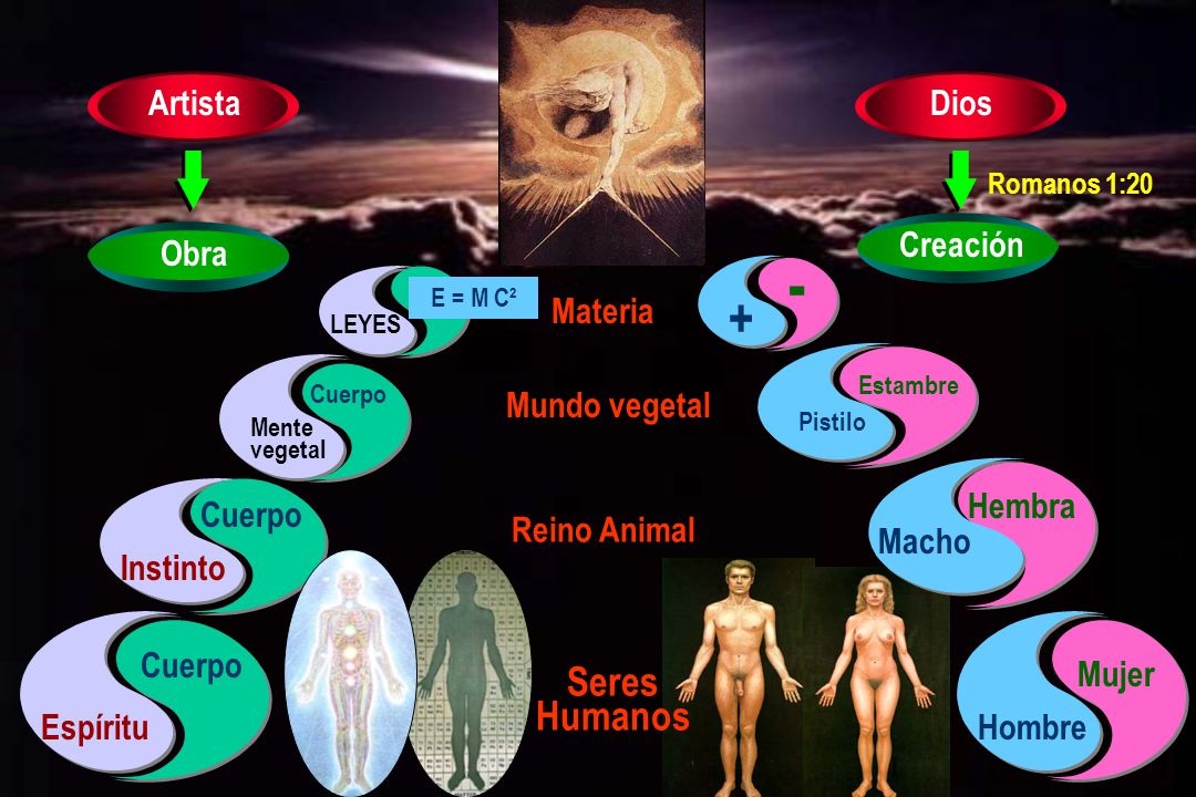 - + Seres Humanos Artista Dios Creación Obra Materia Mundo vegetal