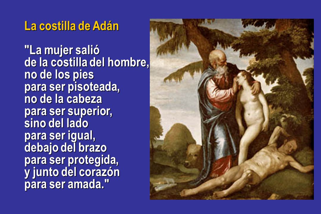La costilla de Adán La mujer salió. de la costilla del hombre, no de los pies. para ser pisoteada,
