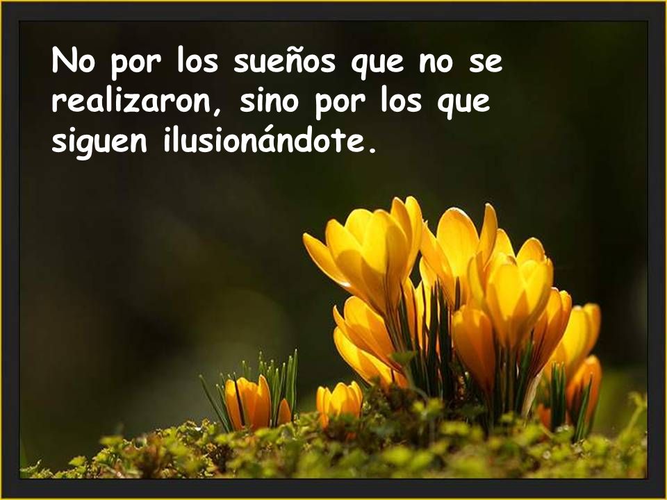 No por los sueños que no se realizaron, sino por los que siguen ilusionándote.