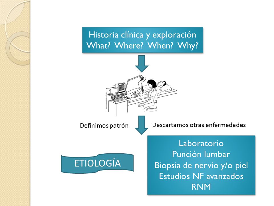 ETIOLOGÍA Historia clínica y exploración What Where When Why