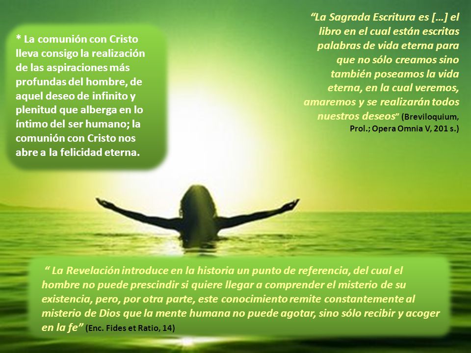 La Sagrada Escritura es […] el libro en el cual están escritas palabras de vida eterna para que no sólo creamos sino también poseamos la vida eterna, en la cual veremos, amaremos y se realizarán todos nuestros deseos (Breviloquium, Prol.; Opera Omnia V, 201 s.)