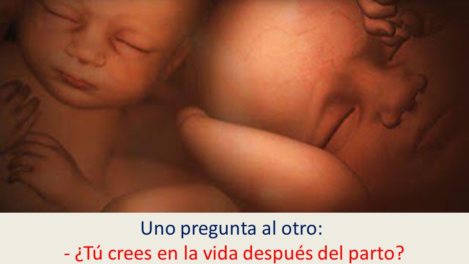 Uno pregunta al otro: - ¿Tú crees en la vida después del parto