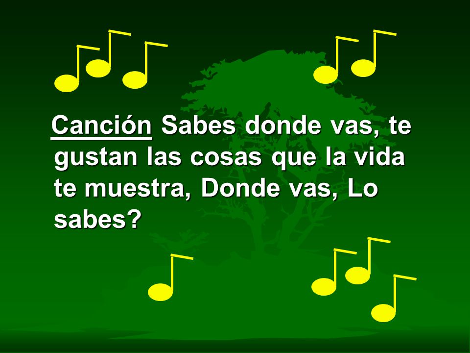 Canción Sabes donde vas, te gustan las cosas que la vida te muestra, Donde vas, Lo sabes