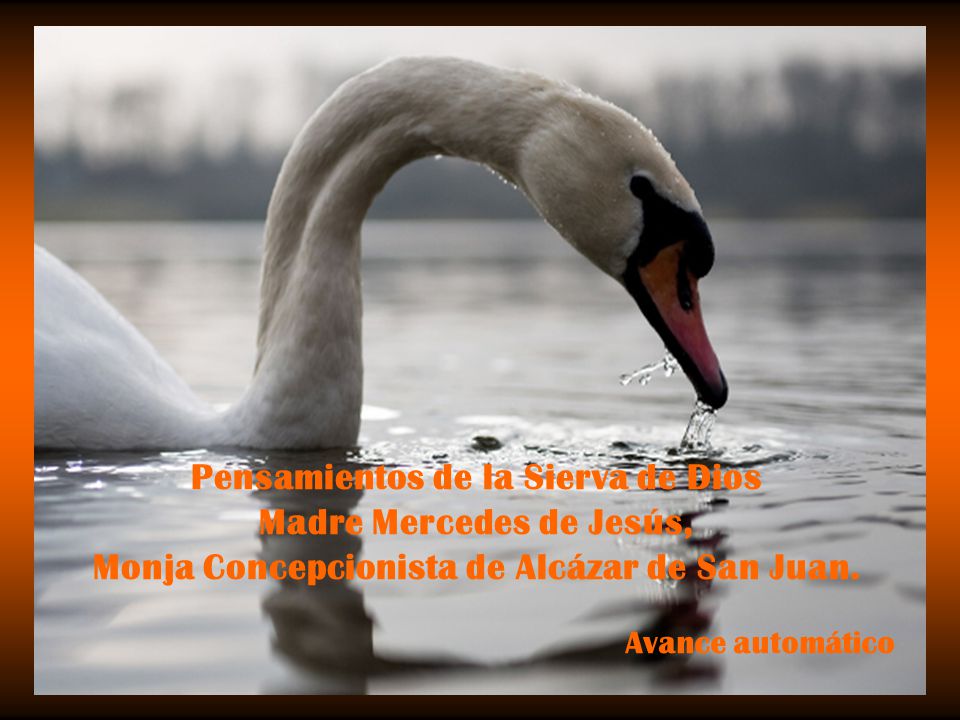Pensamientos de la Sierva de Dios Madre Mercedes de Jesús, Monja Concepcionista de Alcázar de San Juan.