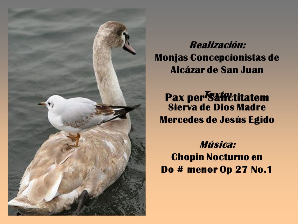 Realización: Monjas Concepcionistas de Alcázar de San Juan Texto: Sierva de Dios Madre Mercedes de Jesús Egido Música: Chopin Nocturno en