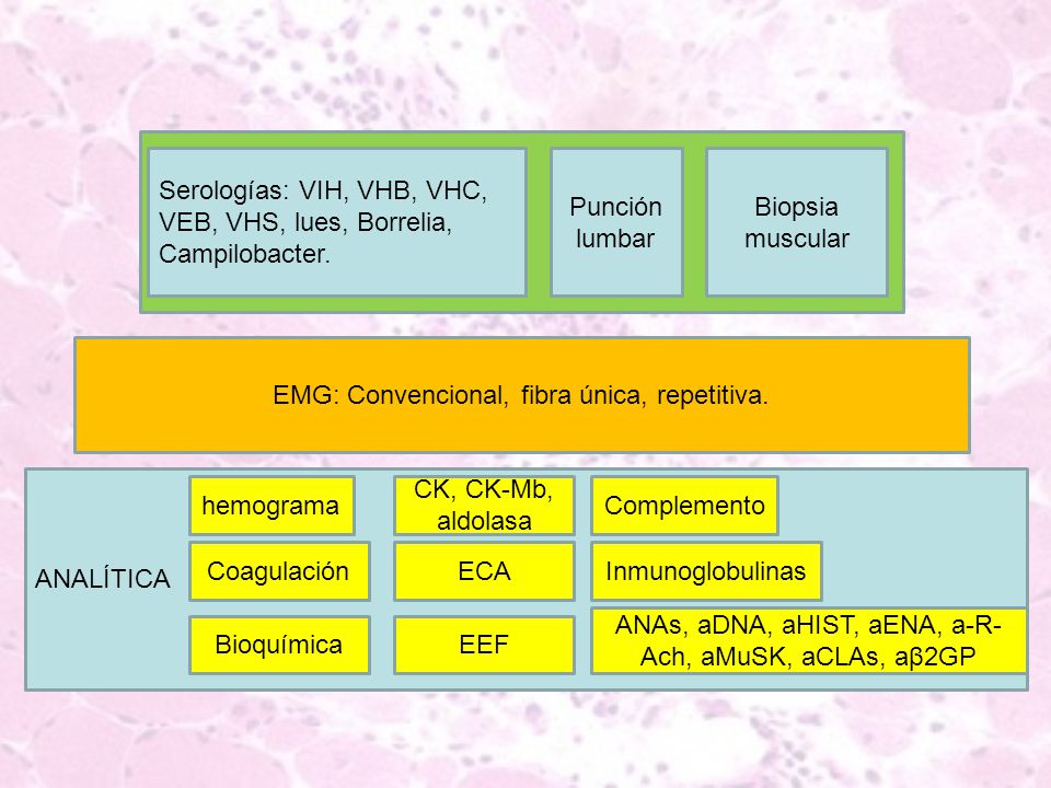 Serologías: VIH, VHB, VHC, VEB, VHS, lues, Borrelia, Campilobacter.