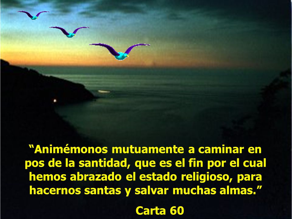 Animémonos mutuamente a caminar en pos de la santidad, que es el fin por el cual hemos abrazado el estado religioso, para hacernos santas y salvar muchas almas.