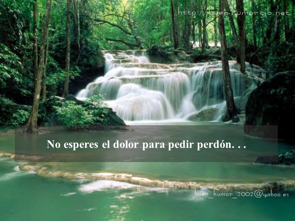 No esperes el dolor para pedir perdón. . .