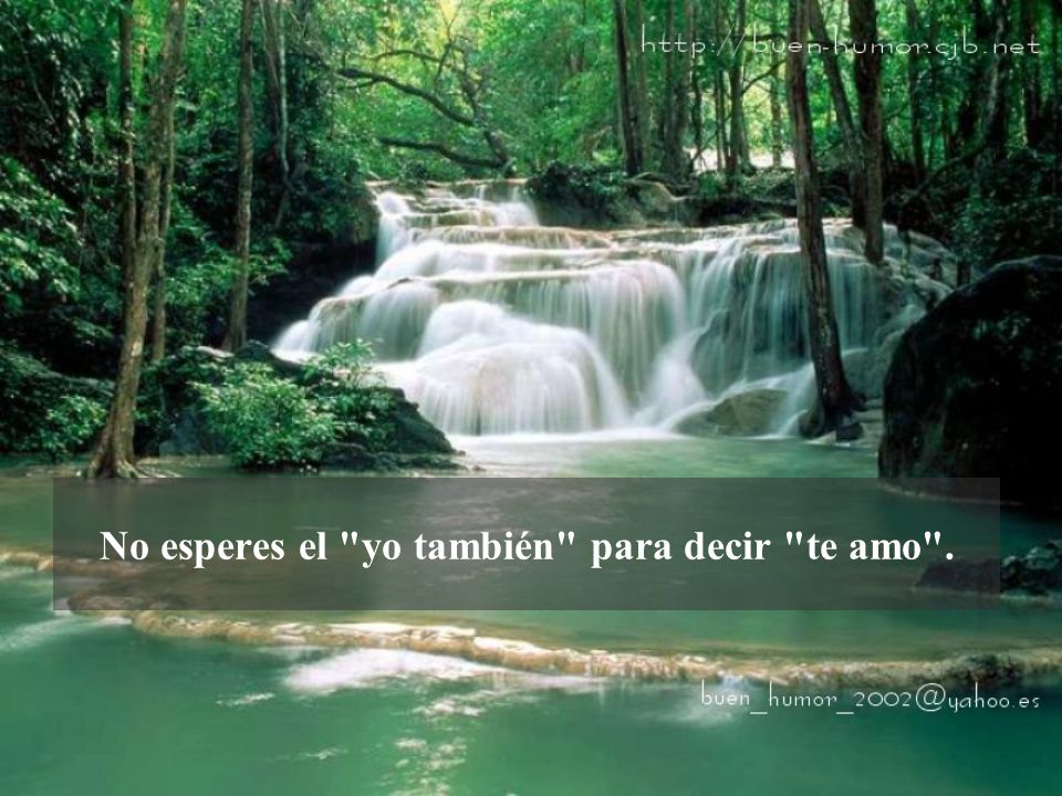 No esperes el yo también para decir te amo .