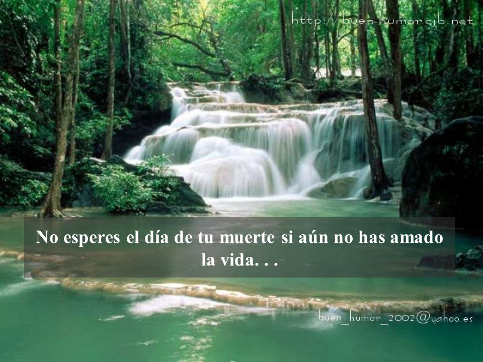 No esperes el día de tu muerte si aún no has amado la vida. . .