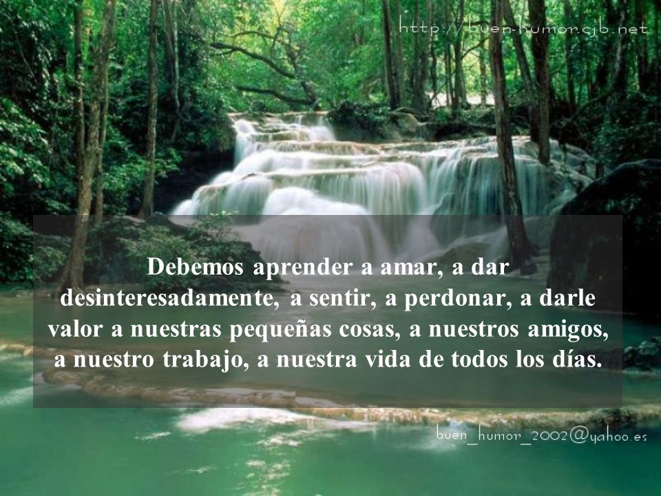 Debemos aprender a amar, a dar desinteresadamente, a sentir, a perdonar, a darle valor a nuestras pequeñas cosas, a nuestros amigos, a nuestro trabajo, a nuestra vida de todos los días.