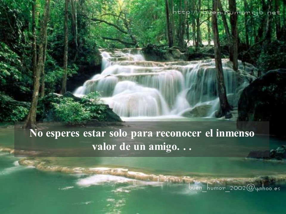 No esperes estar solo para reconocer el inmenso valor de un amigo. . .