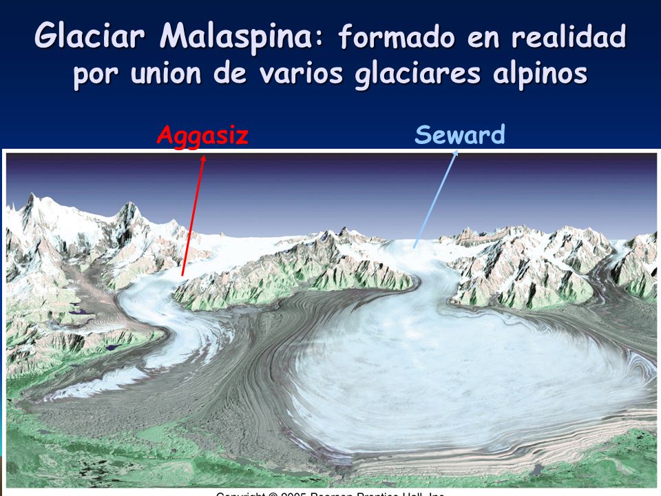 Glaciar Malaspina: formado en realidad por union de varios glaciares alpinos