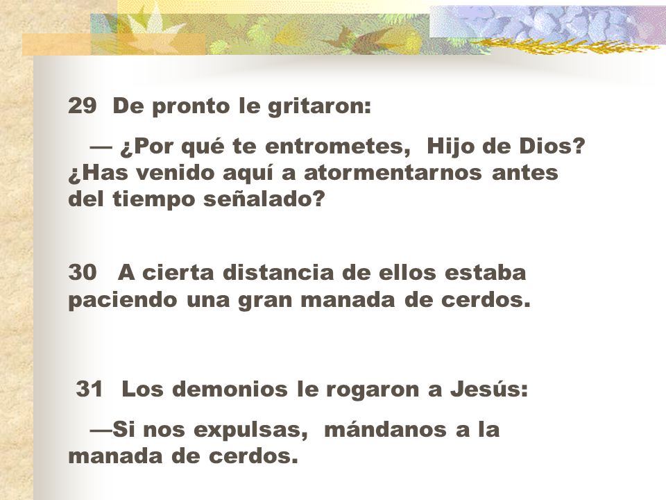 29 De pronto le gritaron: — ¿Por qué te entrometes, Hijo de Dios ¿Has venido aquí a atormentarnos antes del tiempo señalado