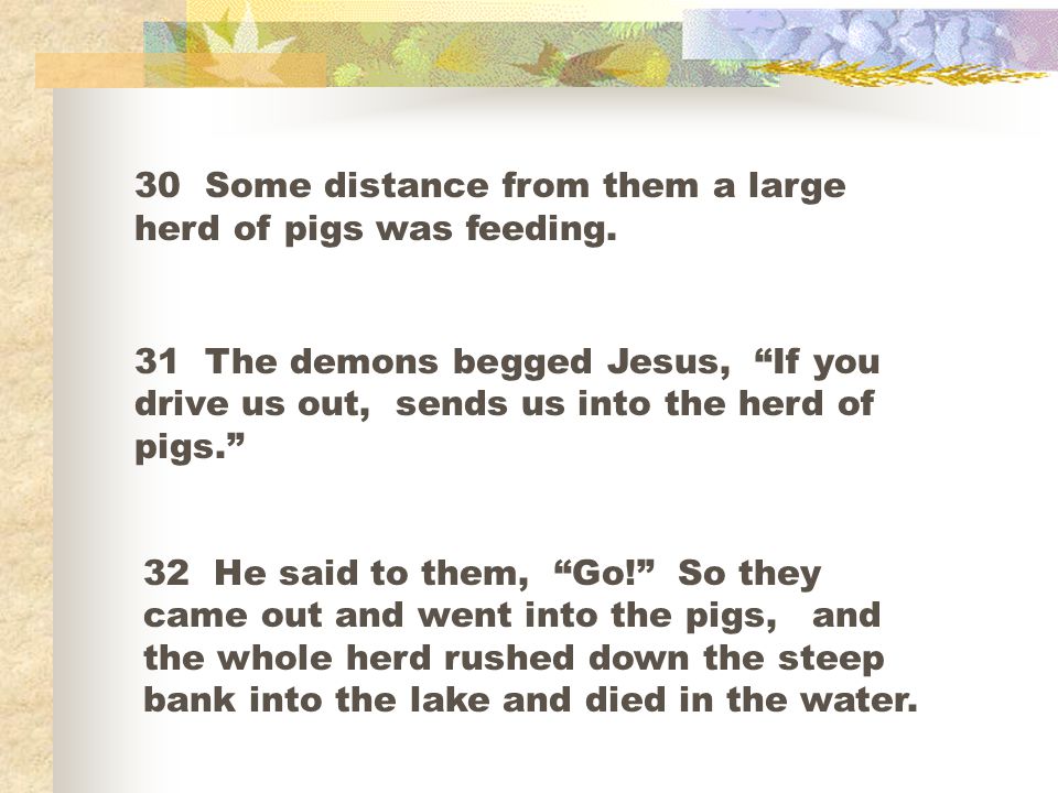 30 Some distance from them a large herd of pigs was feeding.