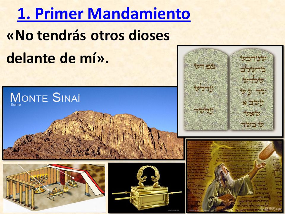 1. Primer Mandamiento «No tendrás otros dioses delante de mí».