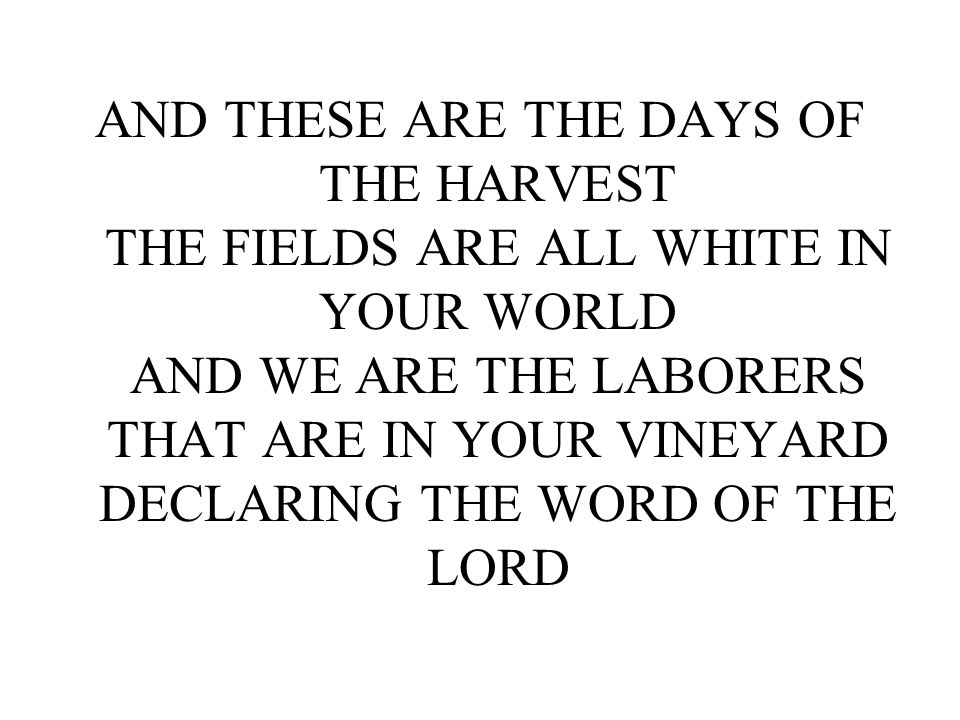AND THESE ARE THE DAYS OF THE HARVEST THE FIELDS ARE ALL WHITE IN YOUR WORLD AND WE ARE THE LABORERS THAT ARE IN YOUR VINEYARD DECLARING THE WORD OF THE LORD