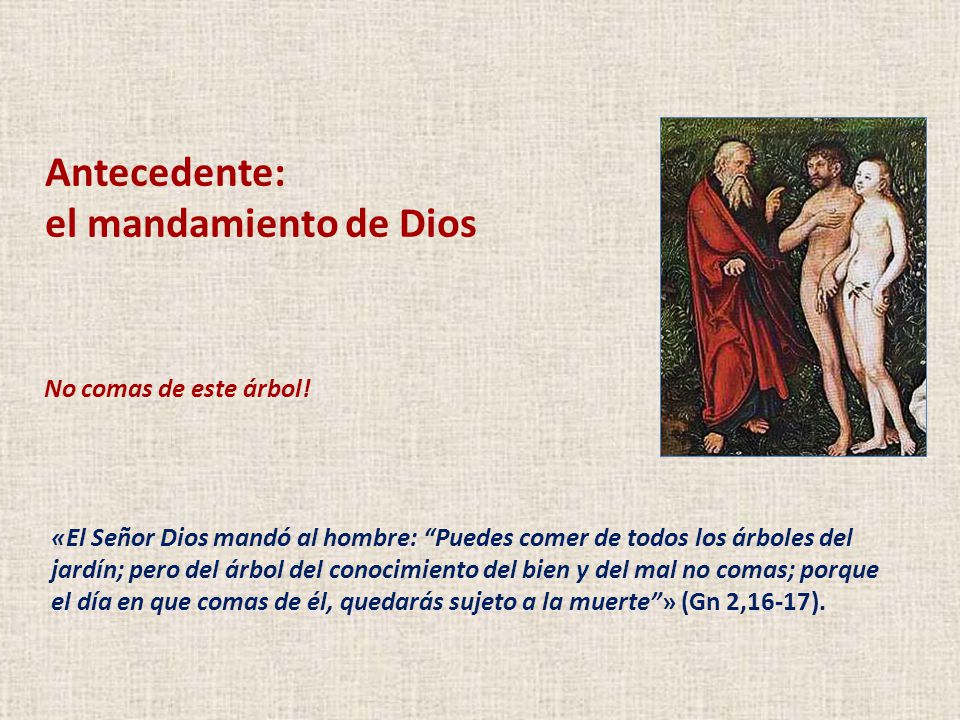 Antecedente: el mandamiento de Dios No comas de este árbol!