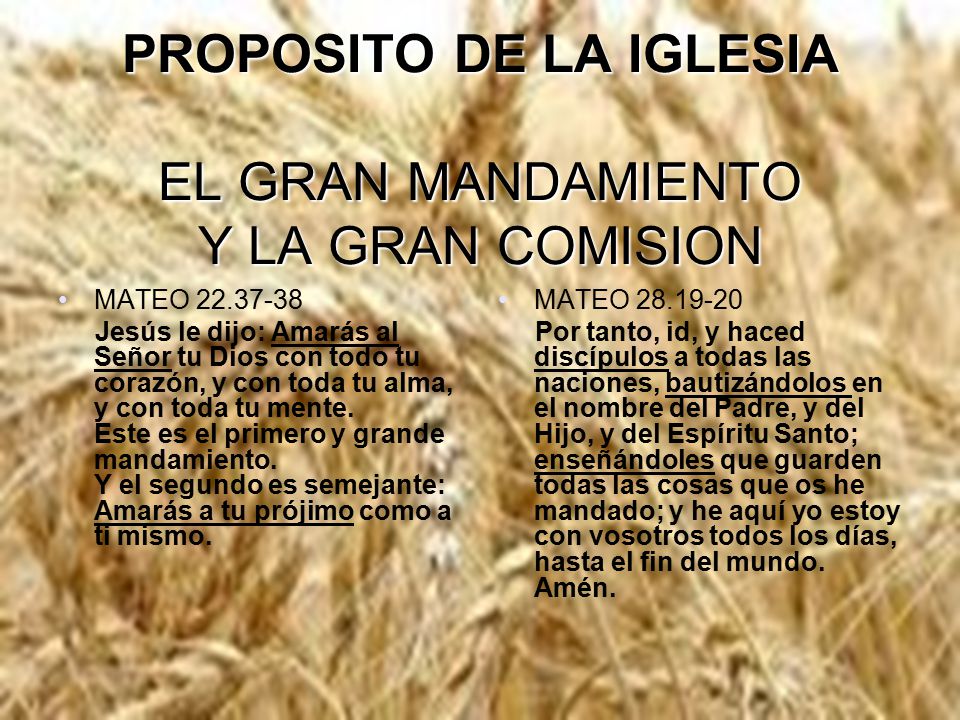 PROPOSITO DE LA IGLESIA EL GRAN MANDAMIENTO Y LA GRAN COMISION
