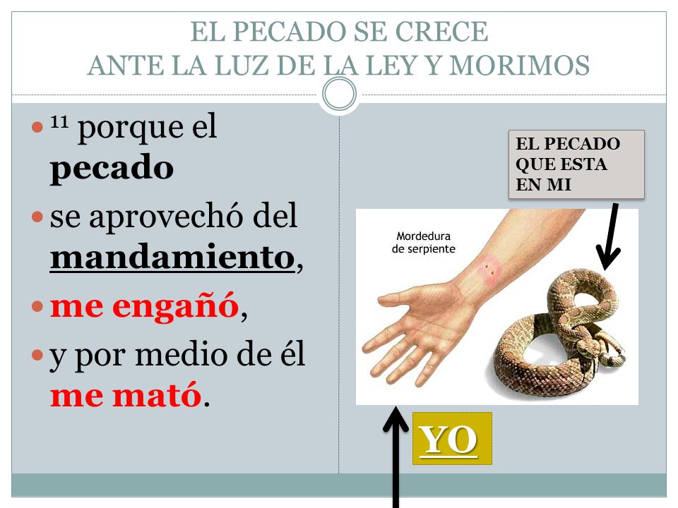 EL PECADO SE CRECE ANTE LA LUZ DE LA LEY Y MORIMOS