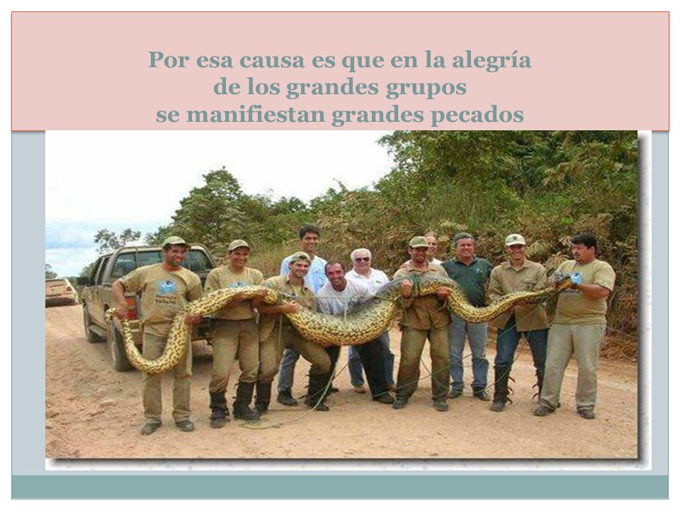Por esa causa es que en la alegría de los grandes grupos se manifiestan grandes pecados