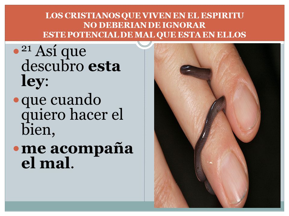 21 Así que descubro esta ley: que cuando quiero hacer el bien,