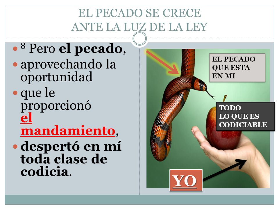 EL PECADO SE CRECE ANTE LA LUZ DE LA LEY