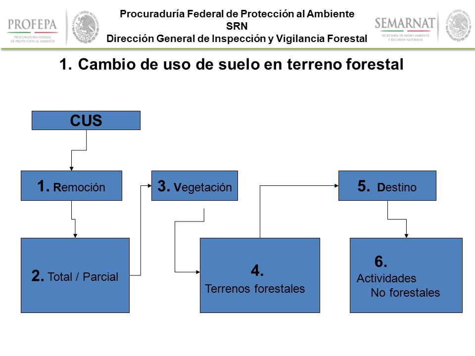 Cambio de uso de suelo en terreno forestal