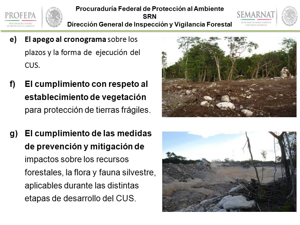 El apego al cronograma sobre los plazos y la forma de ejecución del CUS.