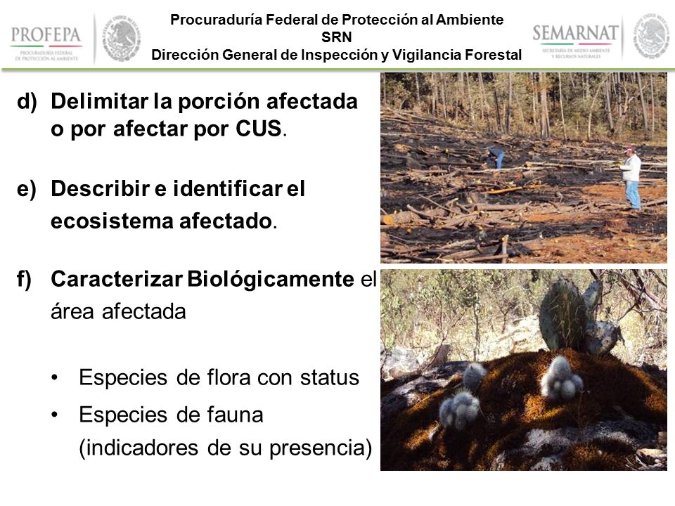 Delimitar la porción afectada o por afectar por CUS.