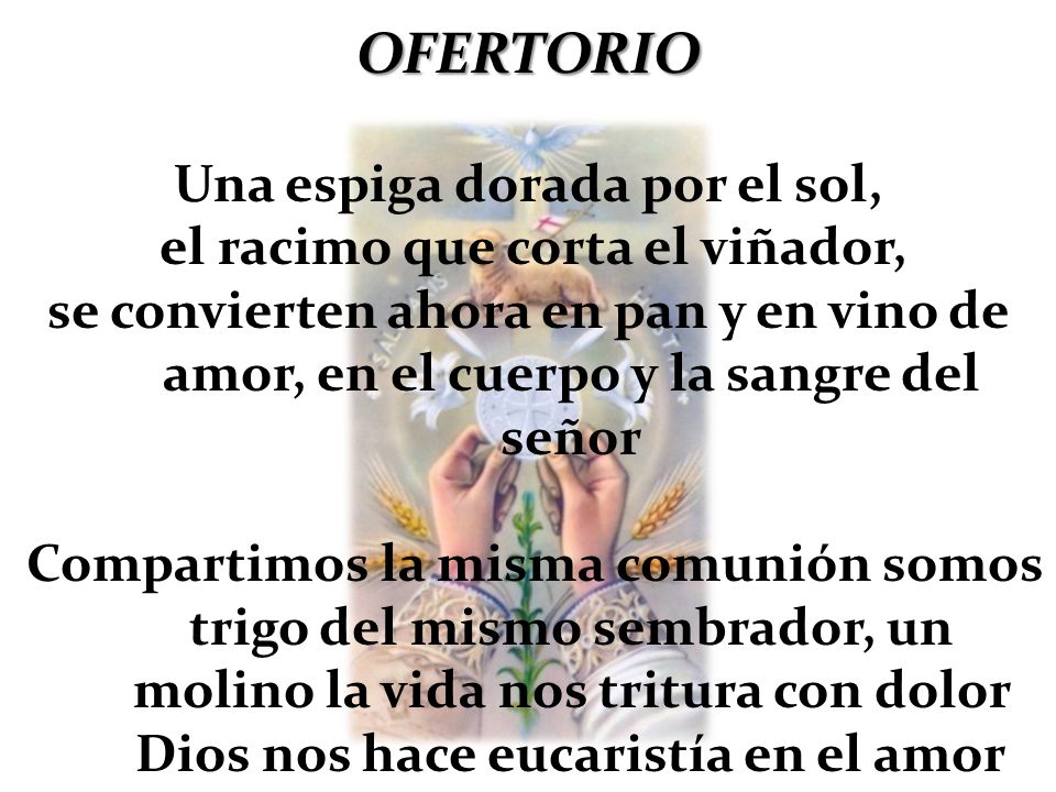 Una espiga dorada por el sol, el racimo que corta el viñador,