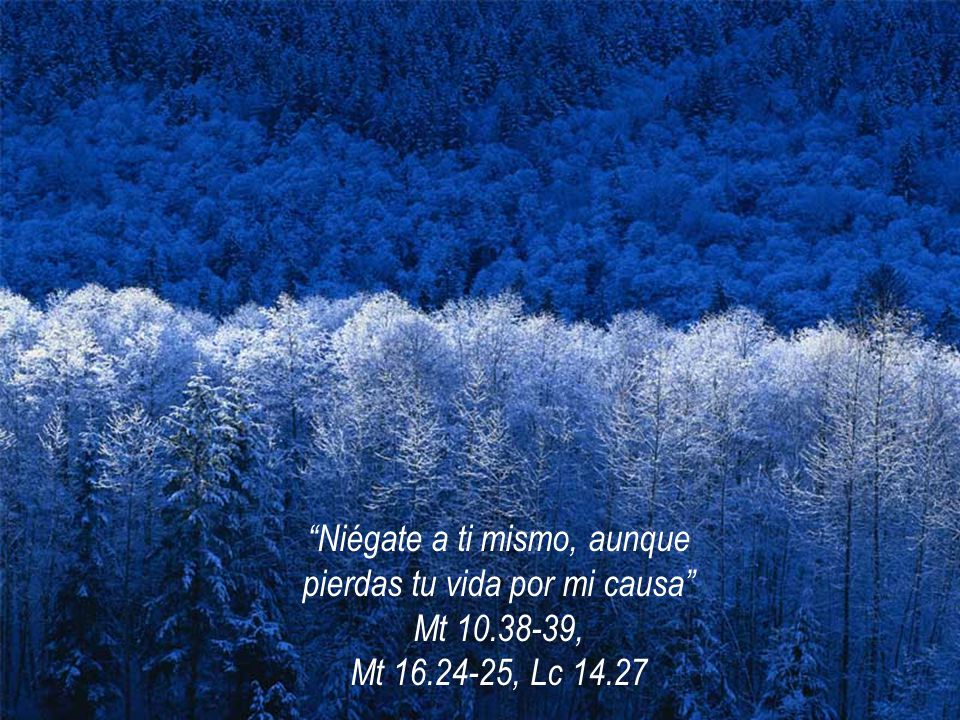 Niégate a ti mismo, aunque pierdas tu vida por mi causa