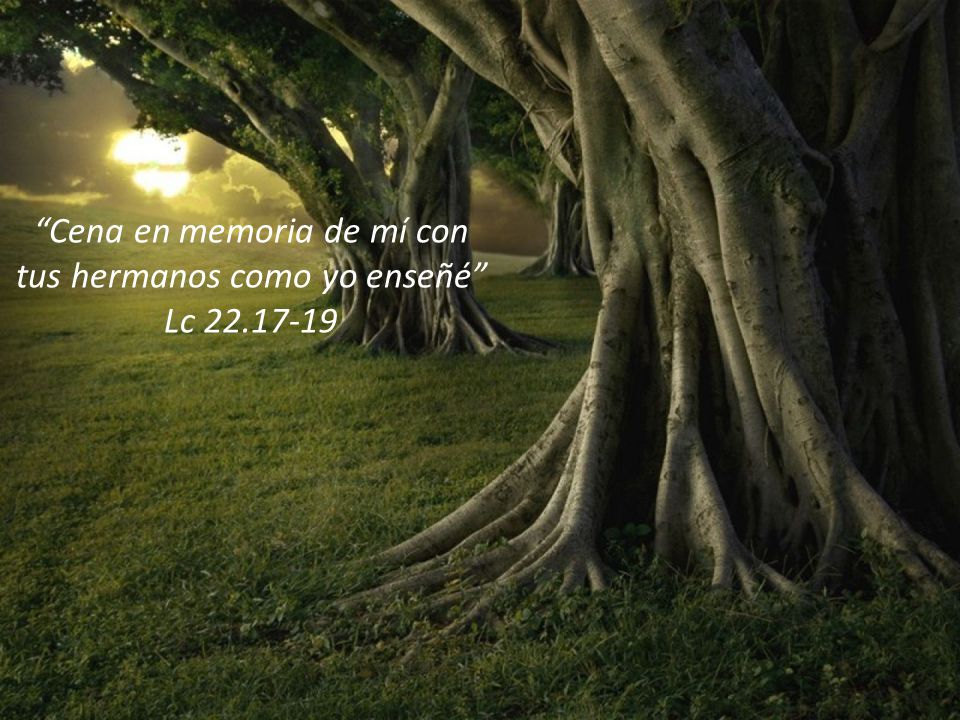 Cena en memoria de mí con tus hermanos como yo enseñé