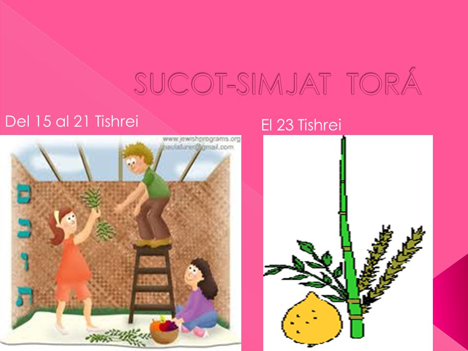 SUCOT-SIMJAT TORÁ Del 15 al 21 Tishrei El 23 Tishrei