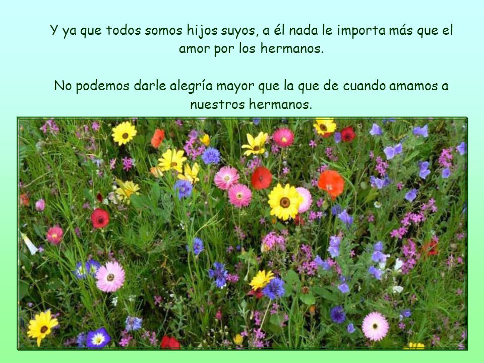 Y ya que todos somos hijos suyos, a él nada le importa más que el amor por los hermanos.