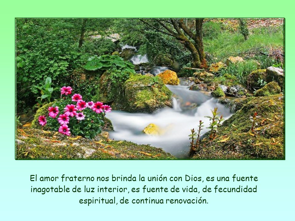 El amor fraterno nos brinda la unión con Dios, es una fuente inagotable de luz interior, es fuente de vida, de fecundidad espiritual, de continua renovación.
