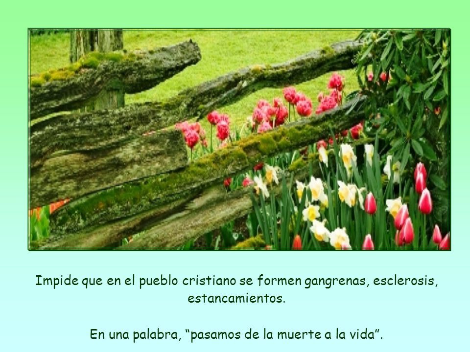 En una palabra, pasamos de la muerte a la vida .