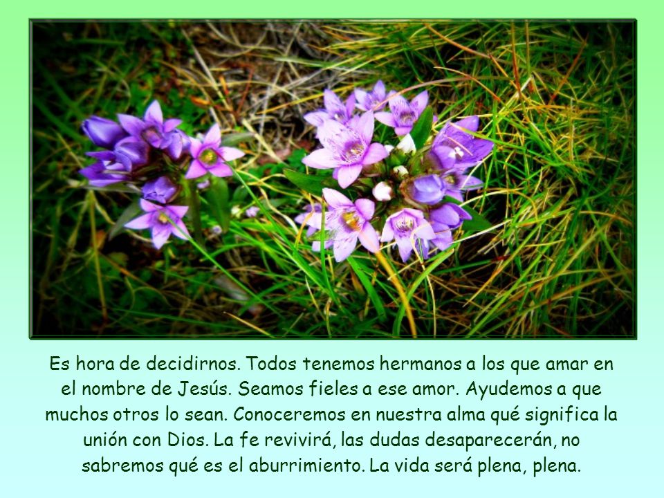 Es hora de decidirnos. Todos tenemos hermanos a los que amar en el nombre de Jesús.